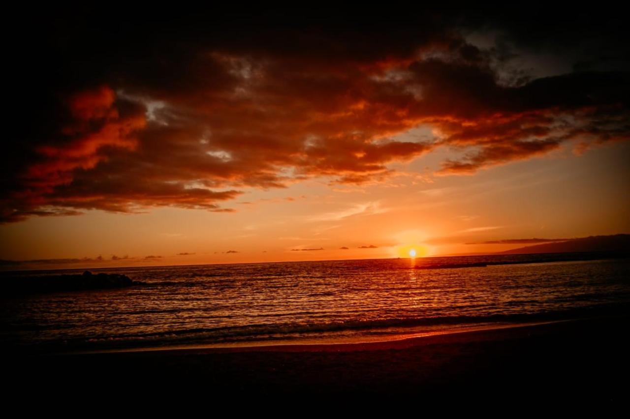 Paradise Tenerife ซานมิเกลเดียโบนา ภายนอก รูปภาพ