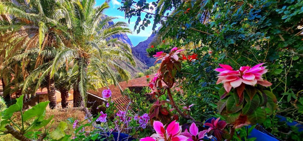 Paradise Tenerife ซานมิเกลเดียโบนา ภายนอก รูปภาพ